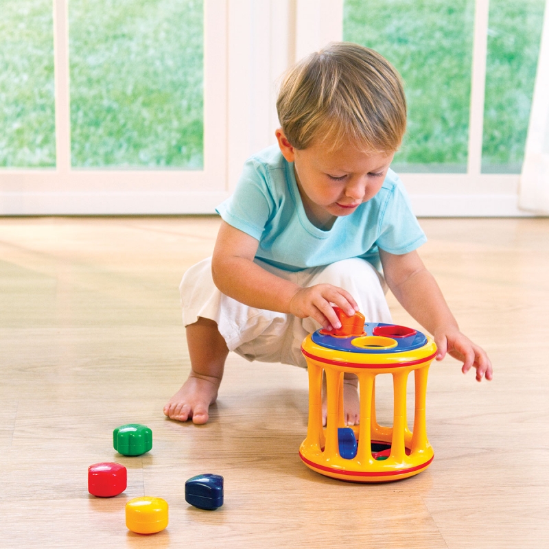 Tolo toys shop rolling shape sorter