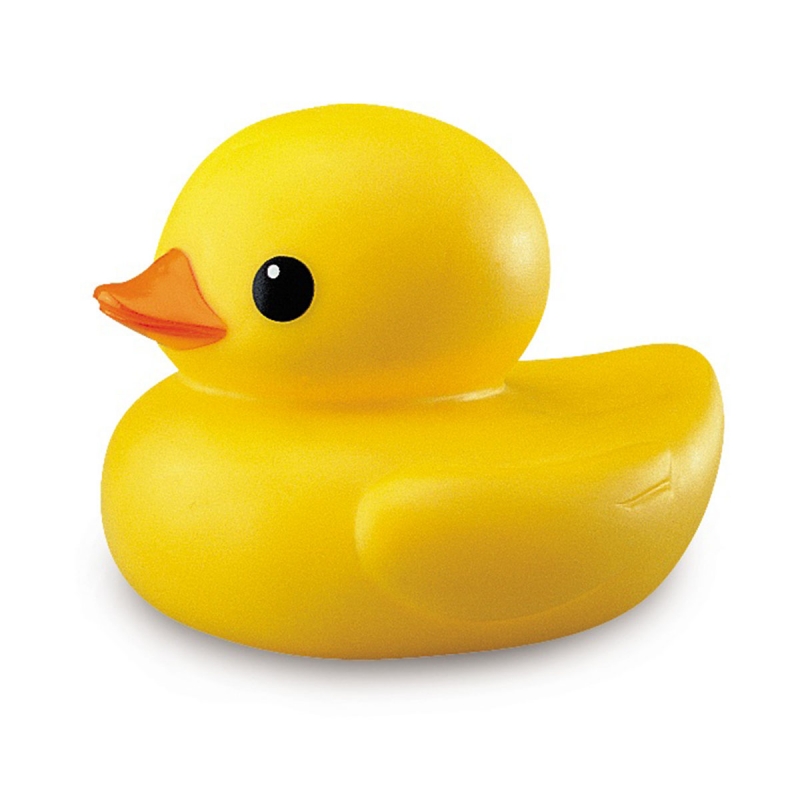 Tolo duck hotsell