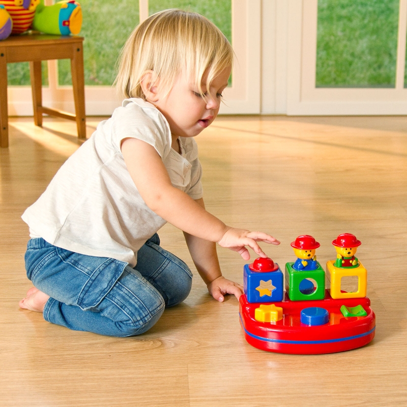 Tolo pop discount up teddies
